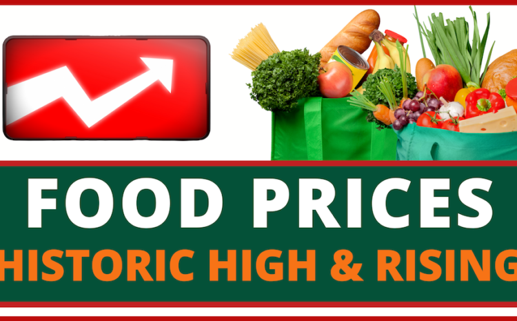 How SNAP Extended Benefits (Food Stamps) can Help with Historically High Food Prices?
